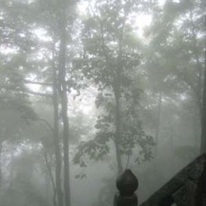 The mists of Wudangshan